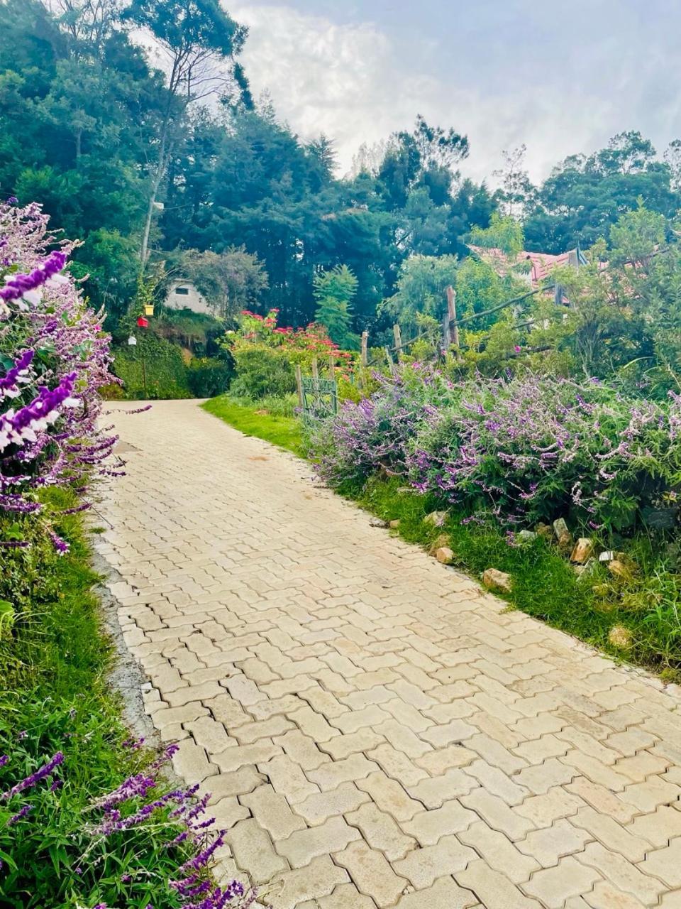 Bed and Breakfast Stumpfields Ooty Esterno foto