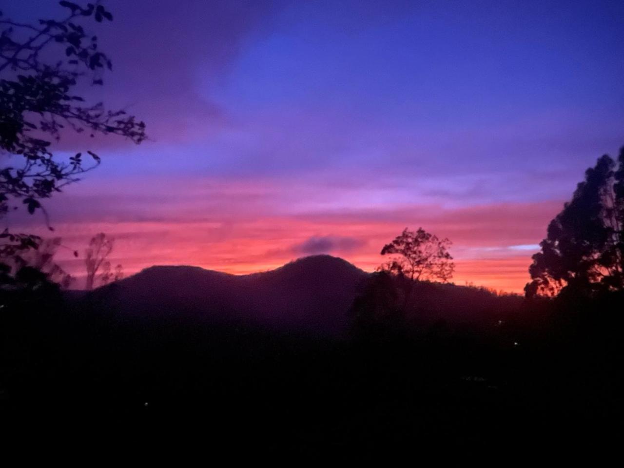 Bed and Breakfast Stumpfields Ooty Esterno foto